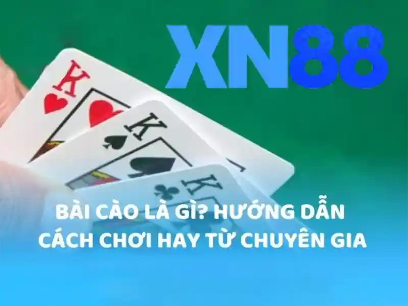 Tổng quan về nhà cái xn88