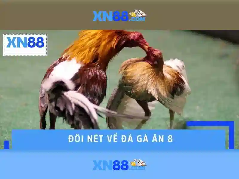 Kết luận và triển vọng
