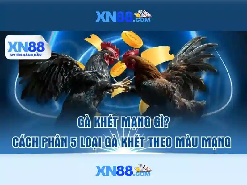 xn88 và hành trình trực tuyến 1 Đăng Nhập
