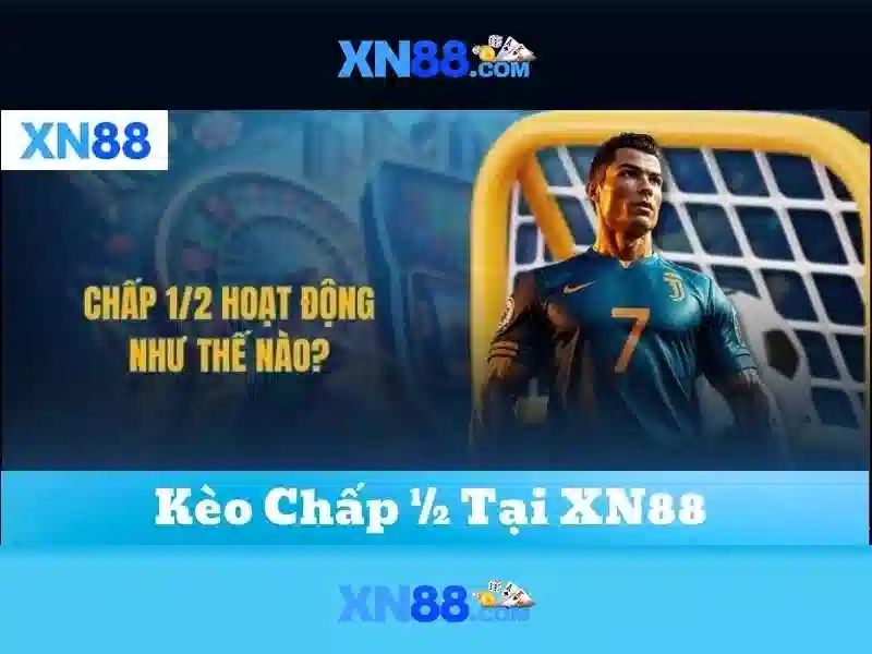 Tài nguyên và hỗ trợ