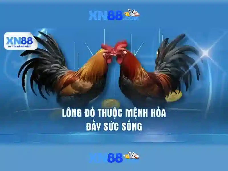 Soi kèo hiệp 1