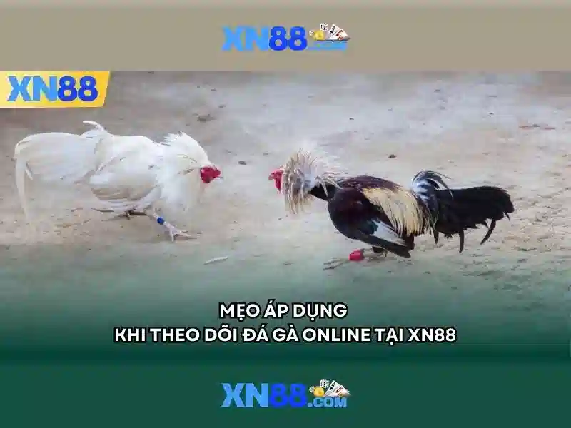 Soi kèo hiệp 1