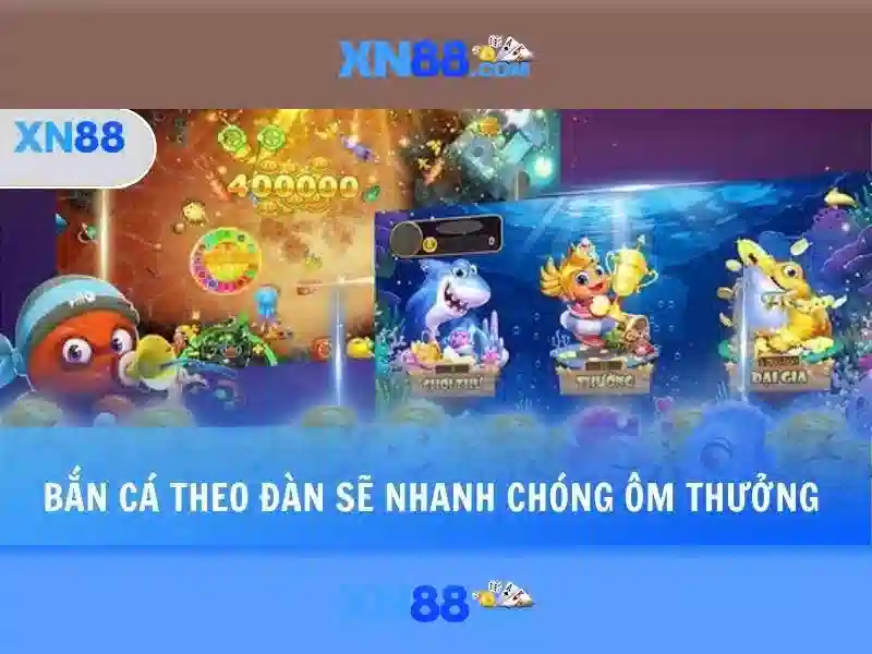 Giới thiệu về xn88