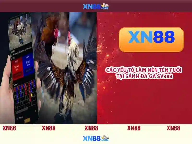 xn88: Tổng quan và Đánh giá Soi kèo hiệp 1