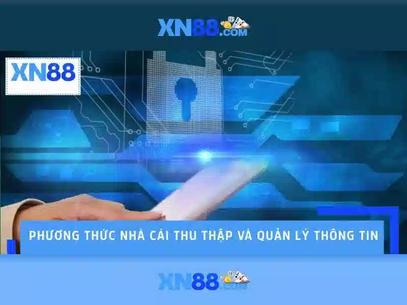 xn88 app.com – Trải nghiệm tối ưu và giải pháp số Go88