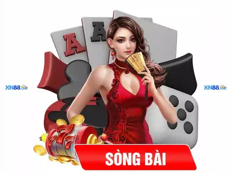 Phản hồi và hỗ trợ