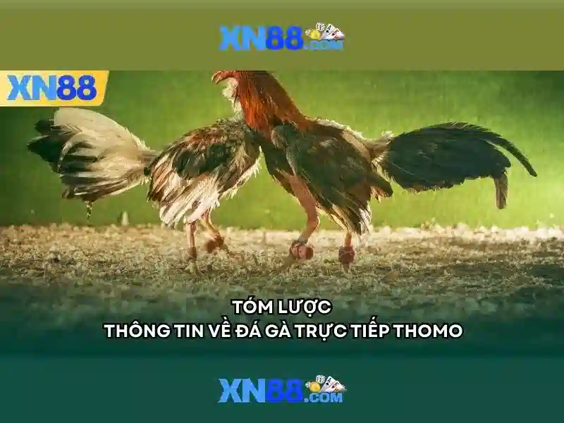 Soi kèo hiệp 1