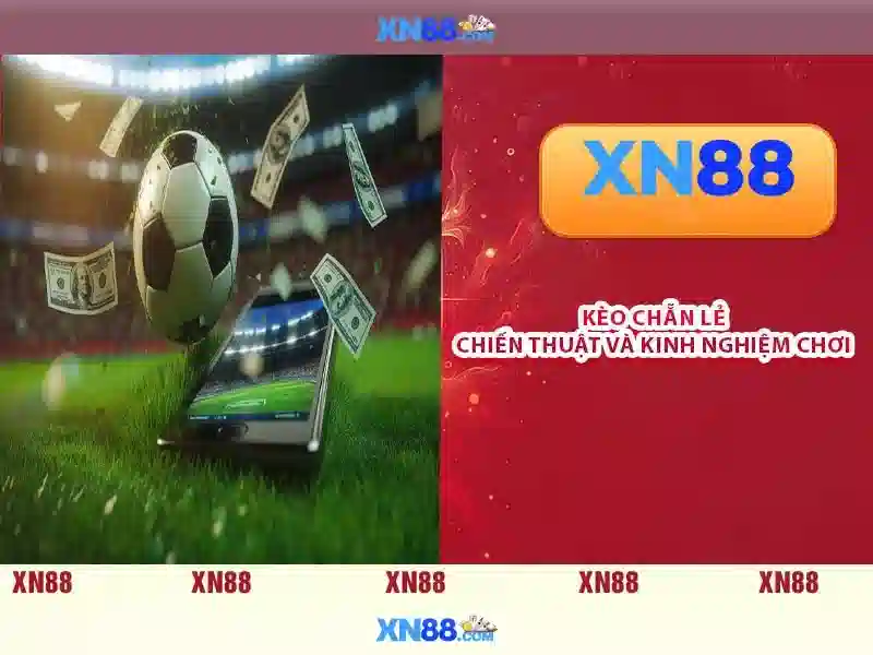 Kết luận và tiềm năng của xn88