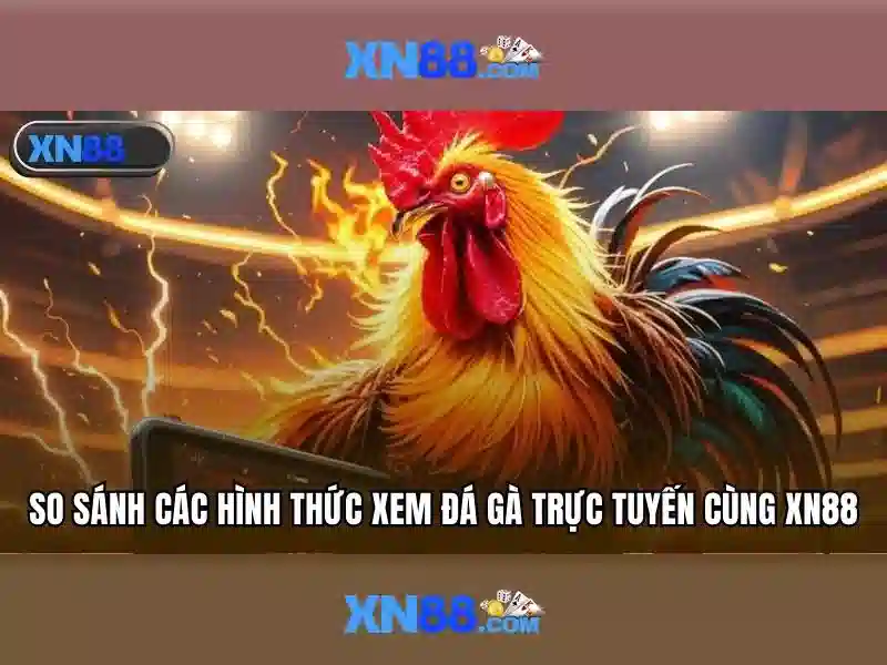 Hỗ trợ và cộng đồng