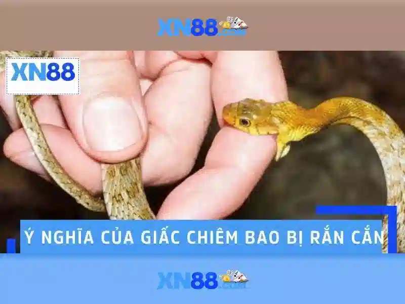 Đăng Nhập