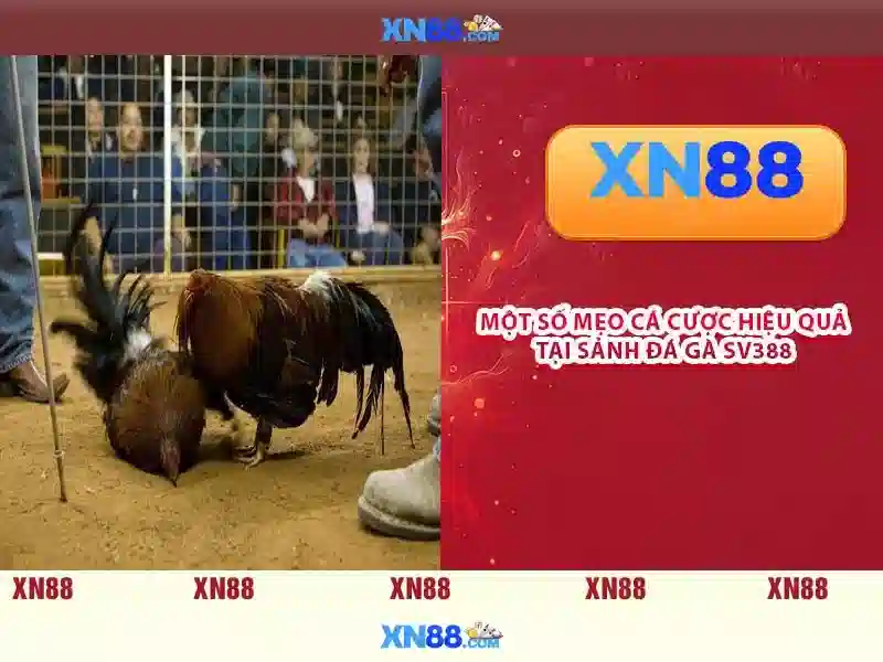 Lịch sử và mục tiêu\n\n<h2>Sản phẩm và trải nghiệm người dùng</h2>\n<p>Danh mục sản phẩm bao gồm slot, casino trực tuyến, baccarat, blackjack và nhiều trò chơi trực tiếp qua video. Giao diện người dùng được thiết kế dễ dùng, kèm theo xác thực hai yếu tố và dịch vụ hỗ trợ khách hàng 24/7 để đảm bảo trải nghiệm mượt mà.</p>\n\n<h2>An toàn và bảo mật</h2>\n<p>xn88 chú trọng đến an toàn dữ liệu và thanh toán. Mã hóa SSL, kiểm tra KYC/AML và các biện pháp phòng chống gian lận được áp dụng nghiêm ngặt. Người chơi được khuyến khích tuân thủ quy định địa phương và đặt giới hạn chi tiêu để quản lý tài chính một cách hợp lý.</p>