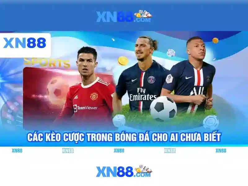 xn88 bshrf sa com – Tổng quan và giá trị cốt lõi xn88 bshrf sa com – Tổng quan và giá trị cốt lõi