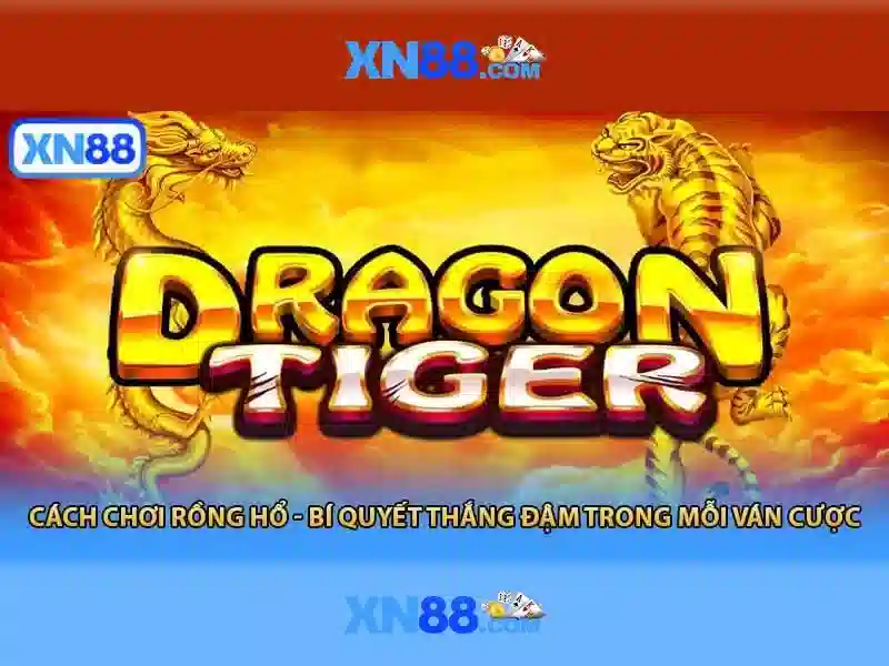 album xn88 album xn88 xn88 - Hành trình thương hiệu và ứng dụng Soi kèo hiệp 1