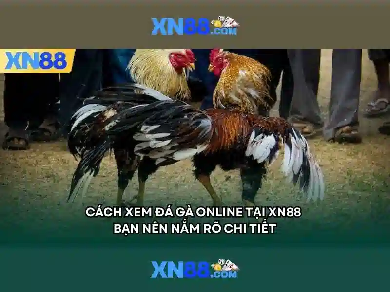 An toàn và pháp lý khi tham gia XN88