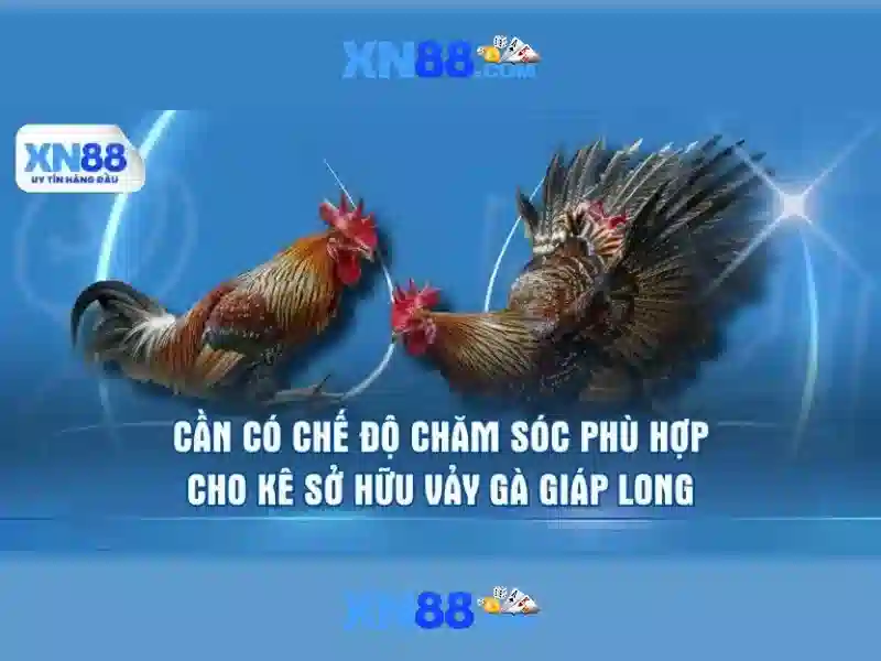 xn88 jpn: Trải nghiệm giải trí uy tín 1 Đăng Nhập