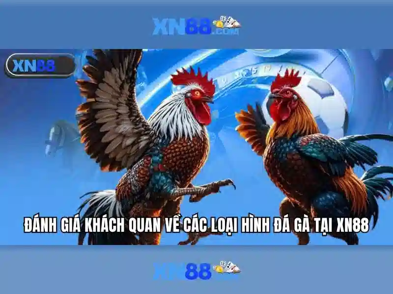 Giới thiệu về xn88 - Nền tảng giải trí và cá cược trực tuyến Go88