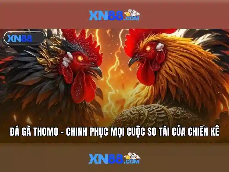 Soi kèo hiệp 1