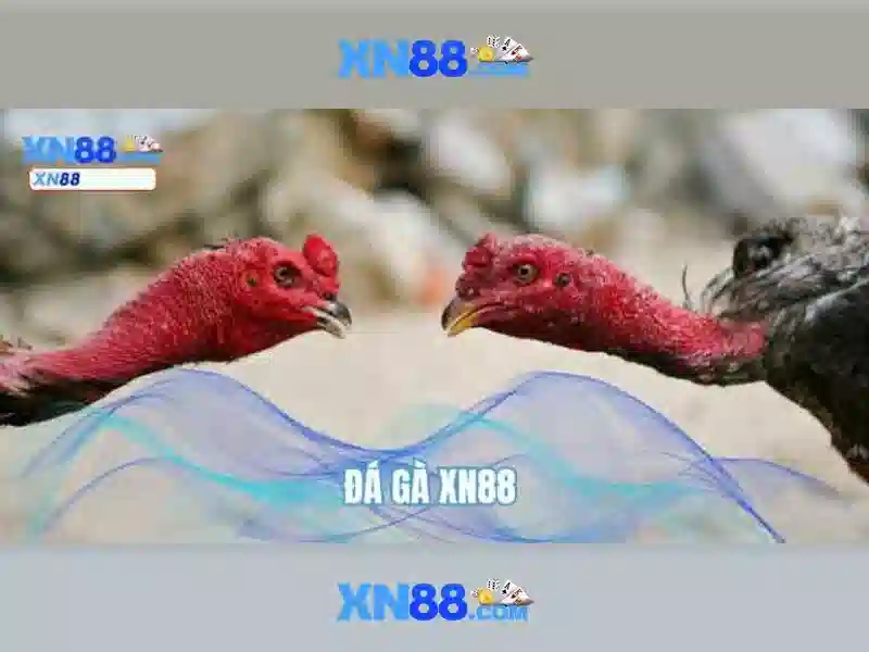 Lịch sử và phát triển