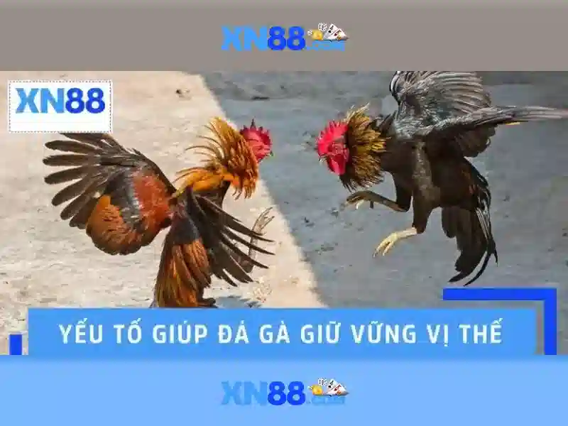 Khuyến mãi và chăm sóc khách hàng