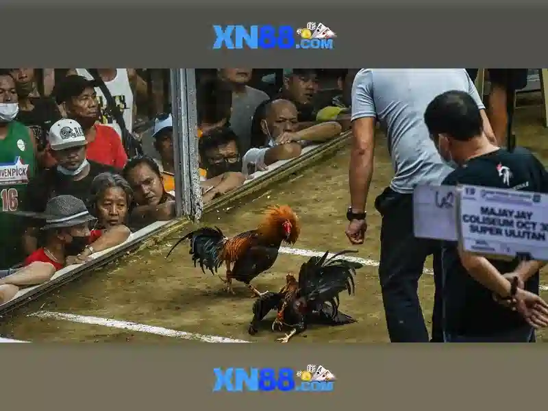 Nguồn gốc và sứ mệnh Nguồn gốc và sứ mệnh