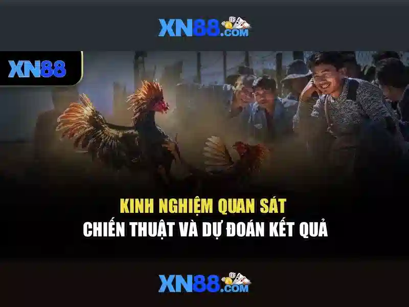 tool xn88 – Đột phá công cụ sáng tạo và tối ưu 1 Đăng Nhập