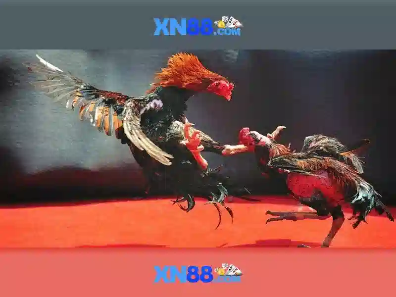 Soi kèo hiệp 1