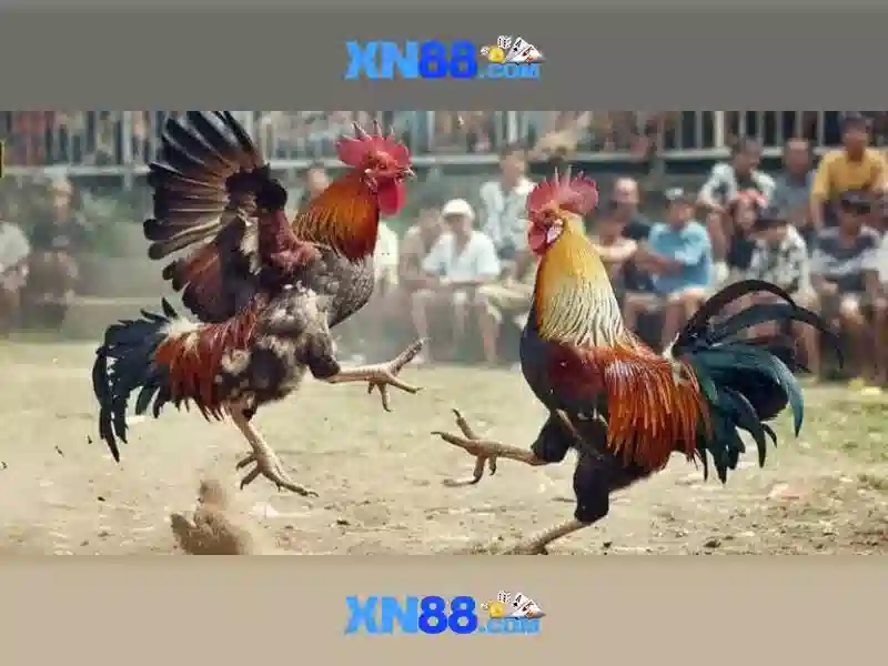Đăng Nhập