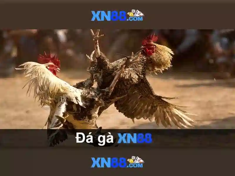 Soi kèo hiệp 1