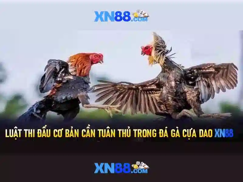 Đăng Nhập