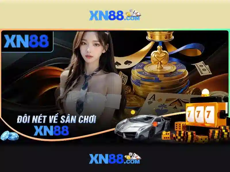 Trải nghiệm người dùng và hỗ trợ