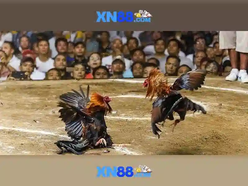 Đăng Nhập