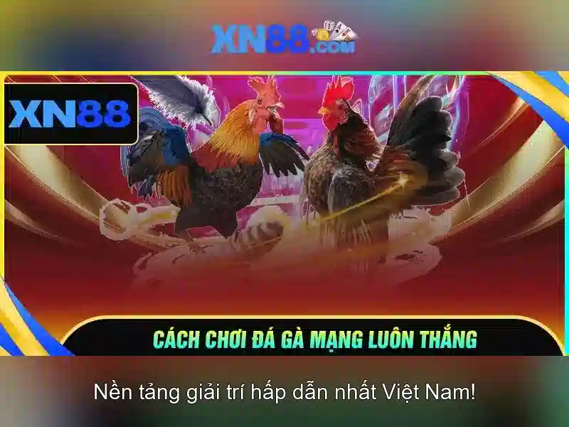 Các tính năng nổi bật\n<h3>Độ tin cậy và an toàn</h3>\n<p>An toàn người dùng là ưu tiên hàng đầu với xn88. Nền tảng áp dụng chuẩn mã hóa, xác thực hai lớp và các biện pháp chống gian lận. Tuy nhiên, người chơi cần tự chủ động quản lý thông tin tài khoản và tuân thủ luật pháp địa phương.</p>