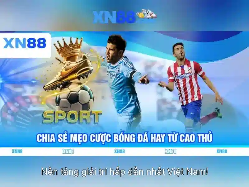 Dịch vụ khách hàng và hỗ trợ
