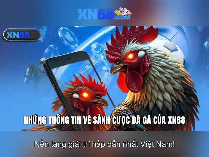 Kết luận về xn88 Kết luận về xn88