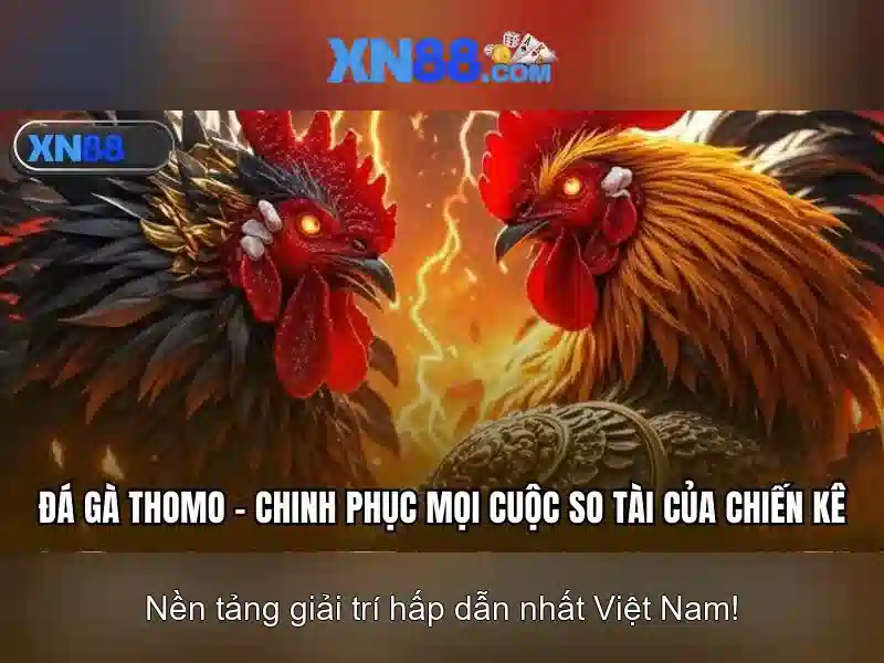 Ư thế cạnh tranh và lợi thế