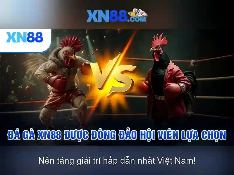 Cách hoạt động của xn88\n<h2>Gợi ý cho người mới</h2>\n<p>Để bắt đầu, người dùng nên xem qua điều khoản sử dụng, kiểm tra bảo mật và tìm hiểu về các tính năng nổi bật như thanh toán và bảo vệ người dùng.</p>\n Cách hoạt động của xn88\n<h2>Gợi ý cho người mới</h2>\n<p>Để bắt đầu, người dùng nên xem qua điều khoản sử dụng, kiểm tra bảo mật và tìm hiểu về các tính năng nổi bật như thanh toán và bảo vệ người dùng.</p>\n