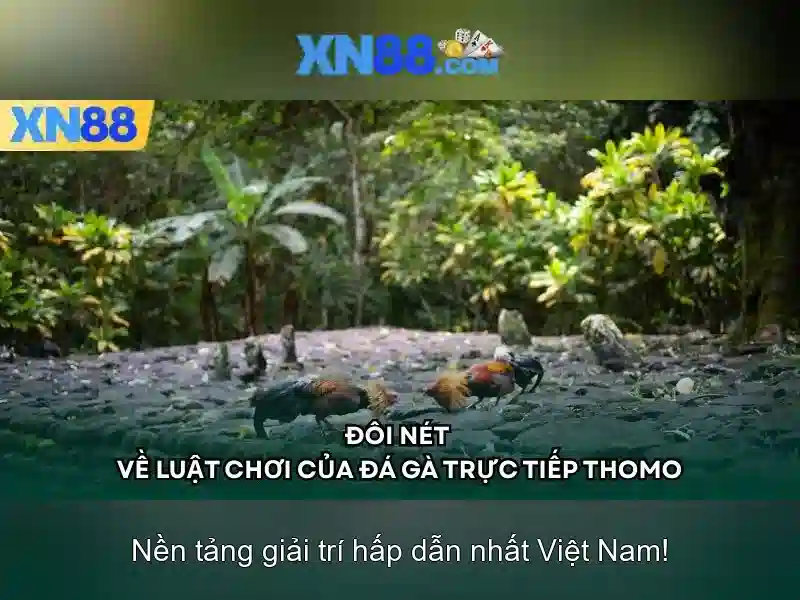 Giới thiệu về xn88