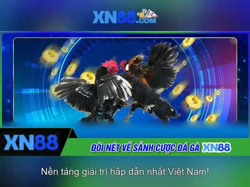 Soi kèo hiệp 1