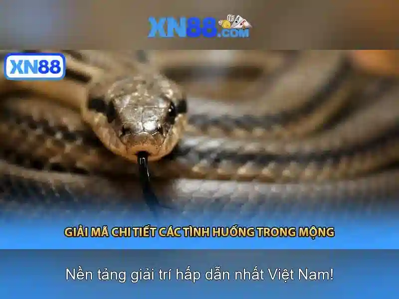 Giới thiệu về xn88