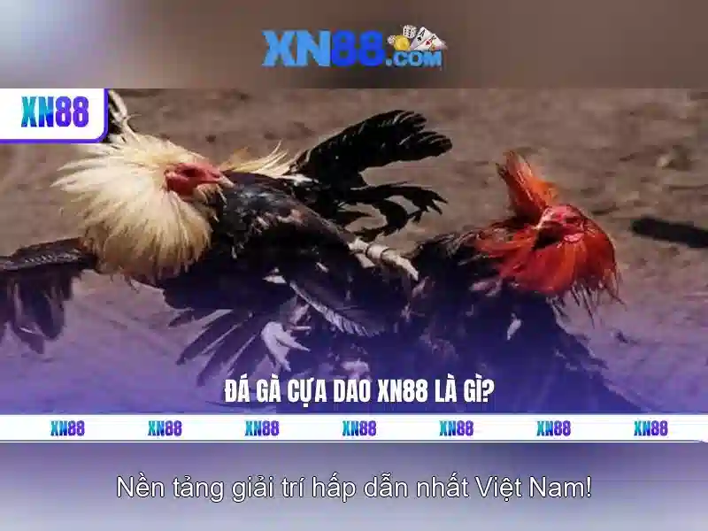 An toàn và quản lý rủi ro