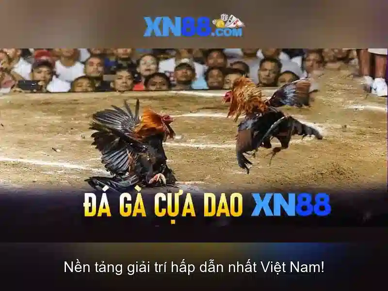 Giới thiệu về xn88 Giới thiệu về xn88