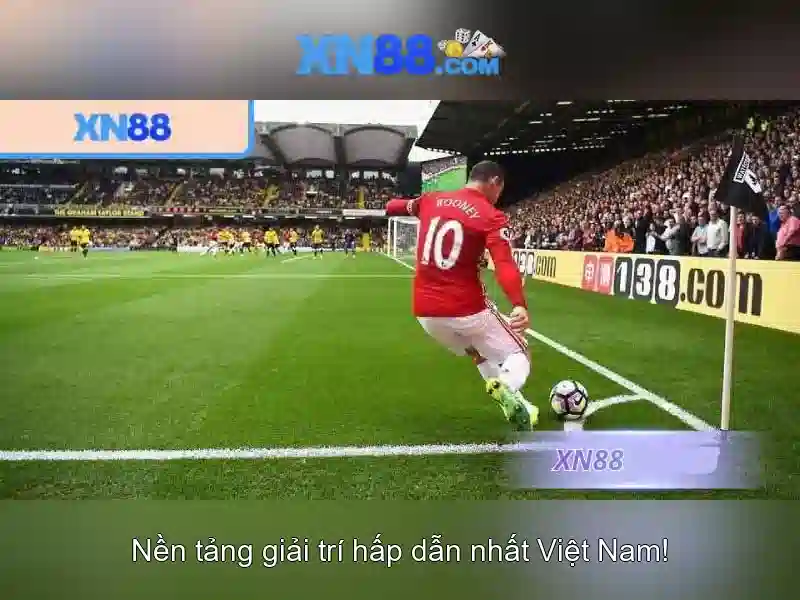Khuyến mãi và hỗ trợ khách hàng