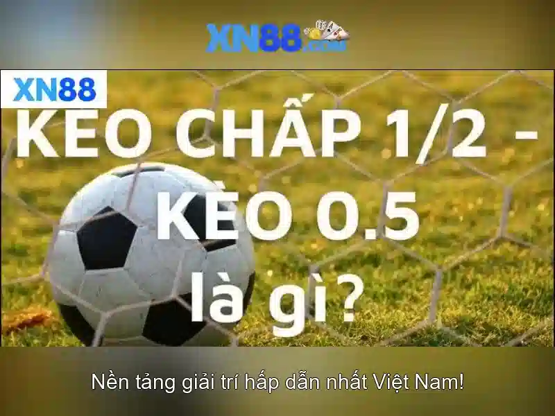 Giao diện và trải nghiệm người dùng