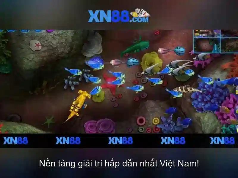 Cộng đồng và trải nghiệm người dùng