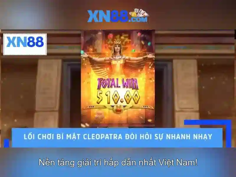 Giới thiệu về xn88