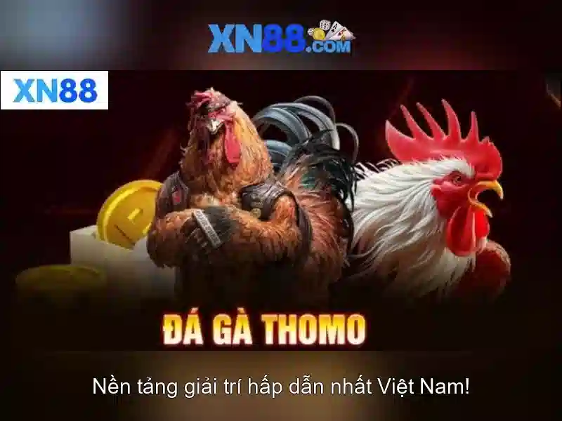 Trải nghiệm người dùng và công nghệ