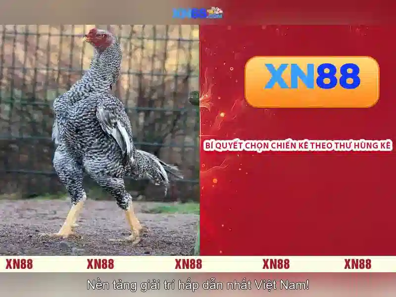 Soi kèo hiệp 1