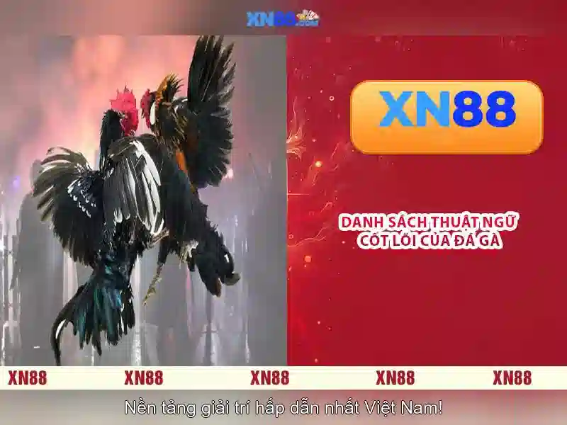 Nguồn gốc và ý nghĩa tên xn88 Nguồn gốc và ý nghĩa tên xn88
