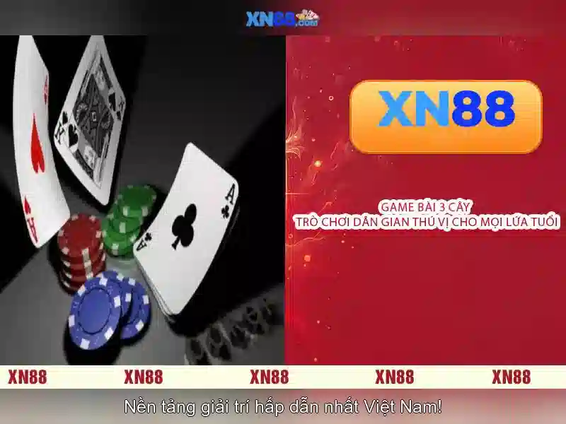 Tính năng nổi bật
