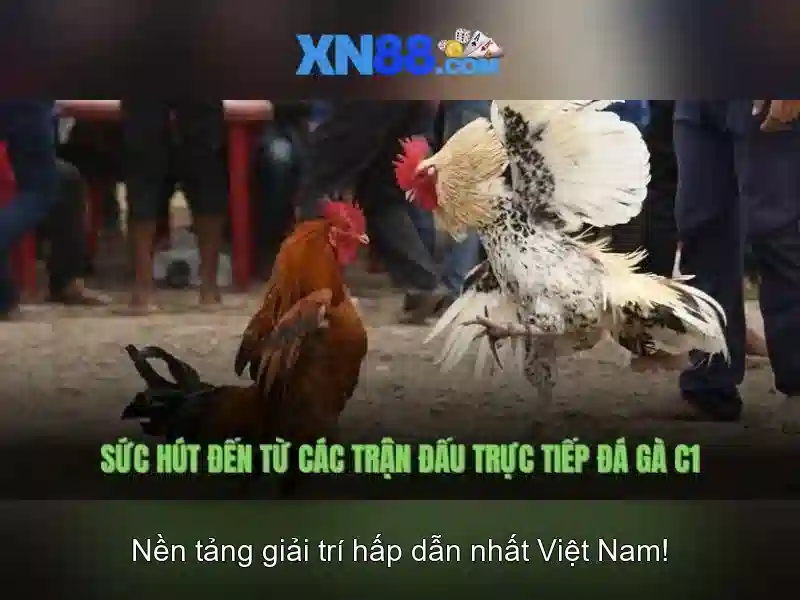 Đăng Nhập